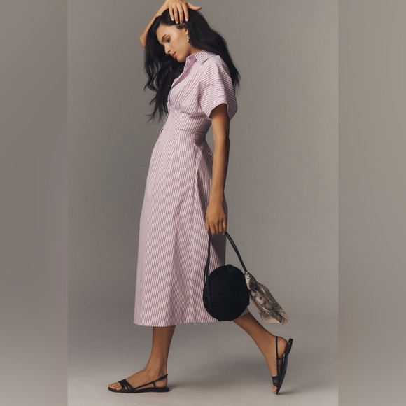 Anthropologie The Tobie Button-Front Pleated Shirt Dress - Picture 6 of 14